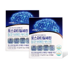 포스파티딜세린 징코 브레인 부스트 PS 은행잎 추출물 플라보놀배당체 인지력 기억력 개선, 2박스, 60정