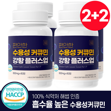 뉴트라업 수용성 커큐민 강황 플러스업 식약청인증 HACCP, 4개, 60정
