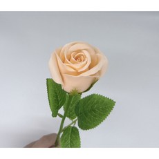 매이노 장미 DIY 다양한 향기 꽃다발 5송이+ 포장 소재, 연오렌지