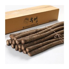 서안동농협 건강식품 우엉 특상품 2kg, ONE COLOR, ONE SIZE