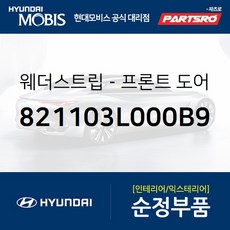 프론트 도어 바디 사이드 웨더스트립(뱀띠고무) 좌측 (821103L000B9) 현대모비스 부품몰 그랜저TG