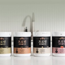 프로틴 쉐이크 통 300g 단백질 보충 식단관리, 녹차맛300g, 1개