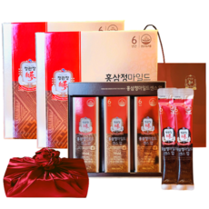 정관장 에브리타임 6년근 홍삼정 마일드 홍삼 스틱 60세트 600ml 센스업 부모님 면연 골프 여행 설 명절 선물세트 1개