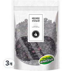 간편한 넛츠데이 건블루베리 350g 3개