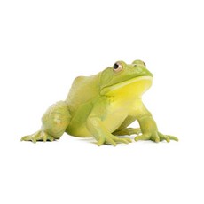 39d532c25c88a00476f92a9a3661daf9fba44d383fd9c14f8ab87a0e578b.jpg