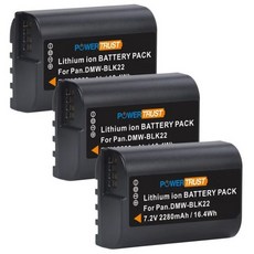 배터리호환 파나소닉 LUMIX DCS5 DCS5K 충전기 DMWBLK22 DMW BLK22 2280mAh, 03 3 x Battery, 3개