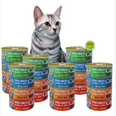 프로베스트 캣푸드 고양이 간식캔, 4종콤보, 80g, 24개