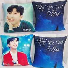 임영웅 굿즈 쿠션 베개 양면 어버이날 선물 솜포함, A(초록옷)