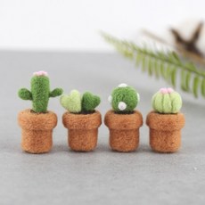 양모펠트선인장