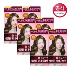 리엔 흑모비책 세련된멋내기 염색약 120g, 오렌지브라운, 6개