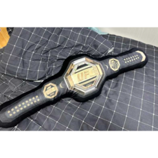 UFC 골드벨트 브라이트 타입 권투 UFC 존시나 챔피언