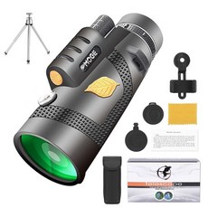 오프라인콘서트