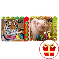 애플비사운드북세트