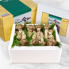 자연이 빚은 천년의 향 24년10월수확 양양 송이 버섯, 1000g, 자연송이 개선품4, 1개
