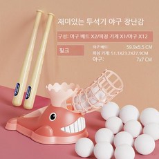 실내야구대관