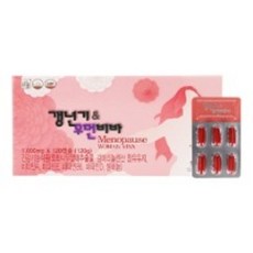 2021년6월잡지부록우먼센스