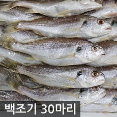 여수고기 국내산 백조기, 백조기 30마리, 1개