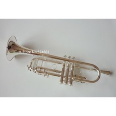 바하트럼펫수입