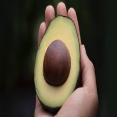 아보카도먹는법