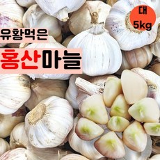 홍산마늘-추천-상품