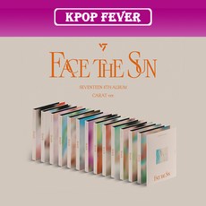 세븐틴캐럿버전