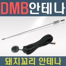 돼지꼬리안테나