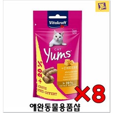 아기고양이먹이 펫박람회 48g(치즈) 고양이키우는법 고양이몰 고양이음식 소형고양이 펫용품 냥이