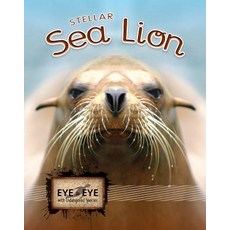(영문도서) Stellar Sea Lions Paperback, Rourke Educational Media, English, 9781606948415