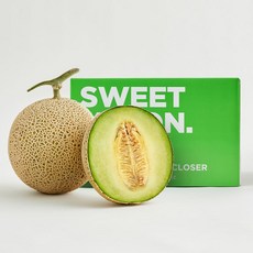 [수플린] 과즙가득 곡성 머스크 메론 2수 (총 3.2kg), 2개