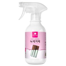 슬로웨이 스테인레스 녹제거제 + 브러쉬 세트, 300ml, 1개