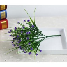 babybreath