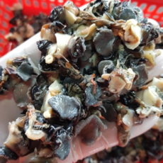 왕궁우렁이(냉동)700g, 우렁이살, 1개