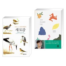 현해환경