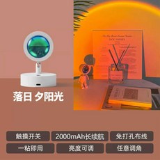 앵무새 새장 온도조절 둥지 보온 하우스 스탠드 조류, 1개, 기본 흰 일몰 램프