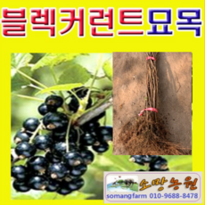 f3a0513f6f3181004fb1d9e04e8316eb5568c8321fa9ba034fcefe69a2c0.png