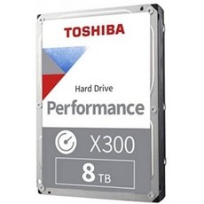 도시바x300