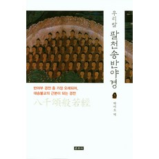 대승불교의성립폴윌리엄스