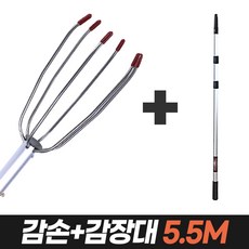 감나무장대