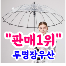 초등비닐우산