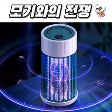 모기홍