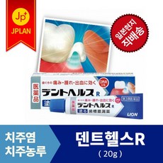 라이온 덴트헬스R[10g20g40g]치주염 치주치료 잇몸연고, 20g