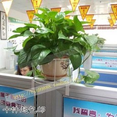 90f372cfa2e8760e3575e907c0232db1649b0175aa003f3567fc685f75be.jpeg
