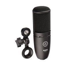 akg퍼셉션120
