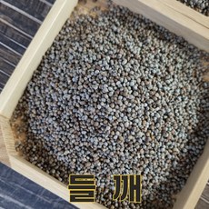 충북 충주 24년산 국산 들깨 500g 생들깨 통들깨, 1개