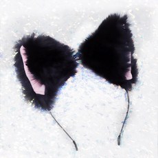 뇌주파수고양이귀