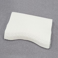 라비쉬홈