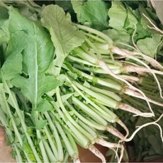 [국내산] 산지직송 싱싱한 아삭아삭 당일선별 명품 어린열무, 1개, 4kg