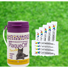 플라그오프 치석제거 파우더 고양이용 40g+고양이 유산균 반랩캣프로바이오틱스 10P 고양이 영양제