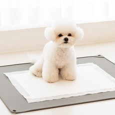 실리콘배변매트특대형