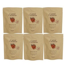 스킨푸드 당근패드 리필 30매 6개